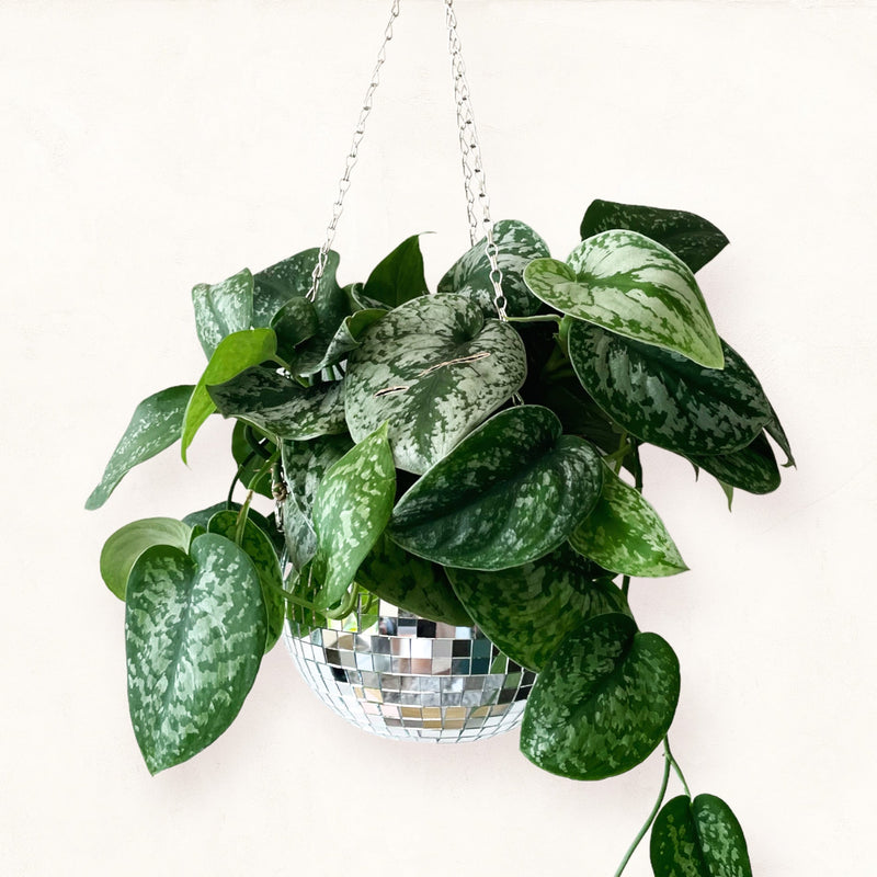 Disco Ball Planter-2