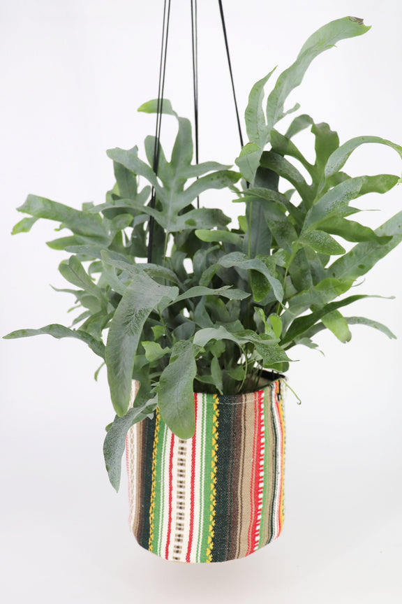 Yellow and green Alpujarra Hanging Planter-4