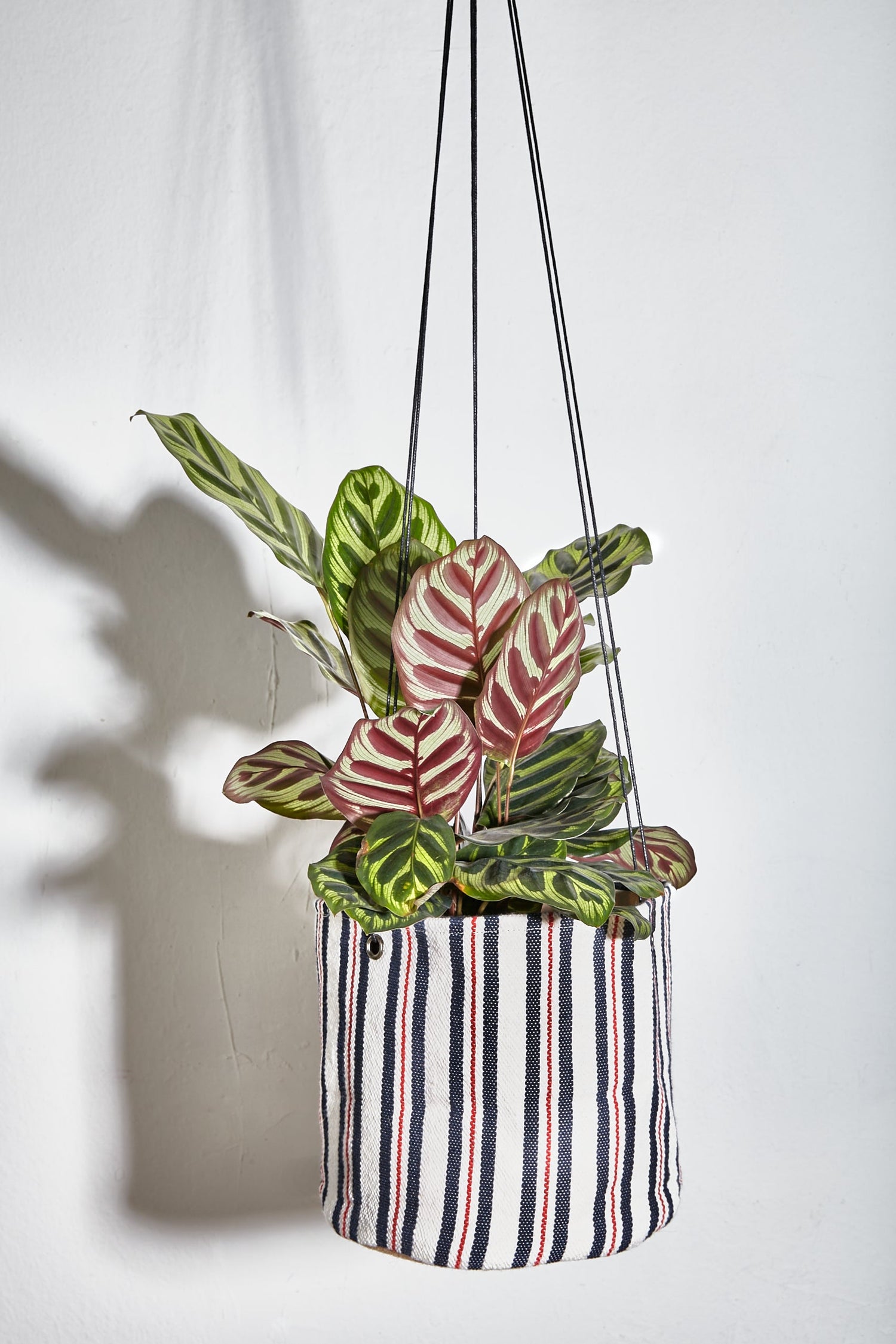 Navy Blue and Red Canvas Hanging Planter-0