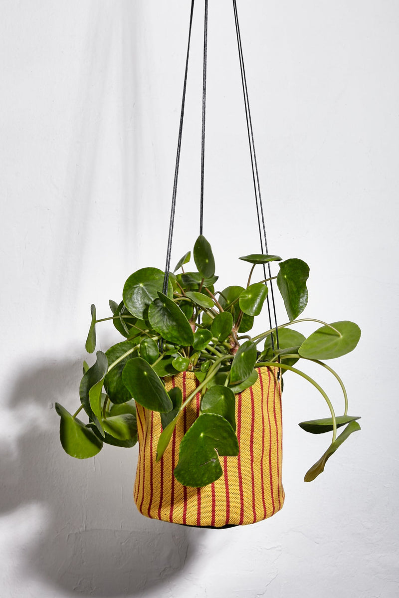 Yellow and red estribera canvas hanging planter-0