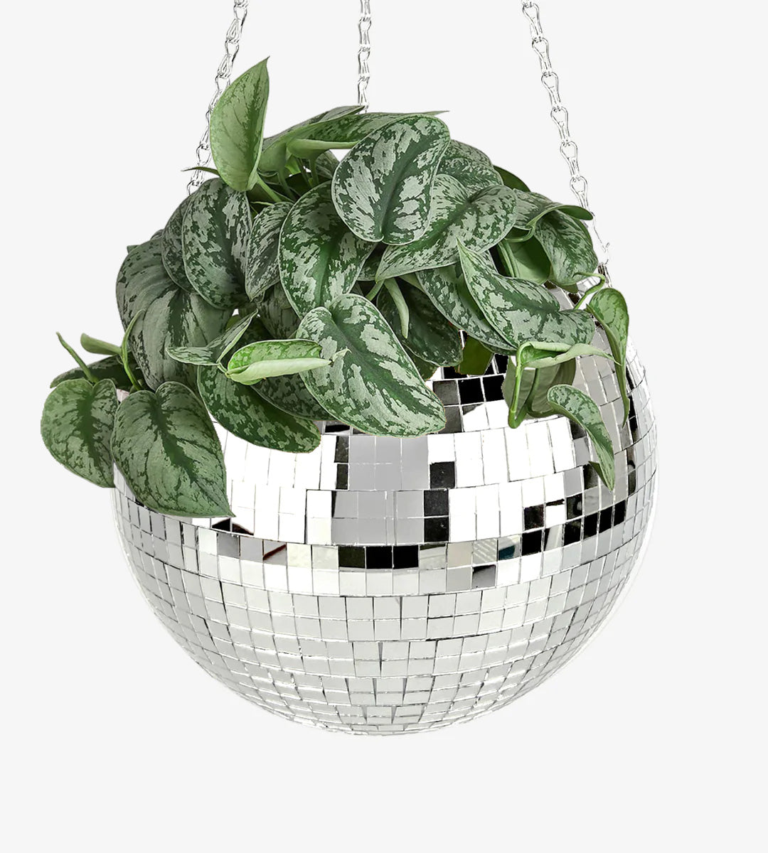 Disco Ball Planter-0