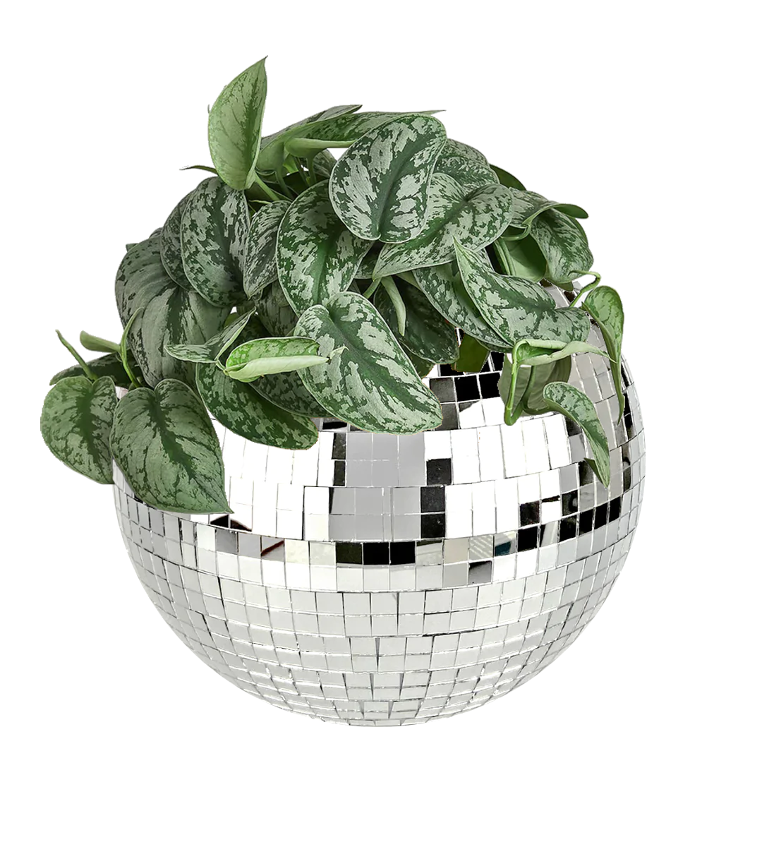 Disco Ball Planter-1