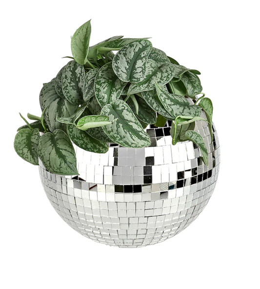 Disco Ball Planter-1