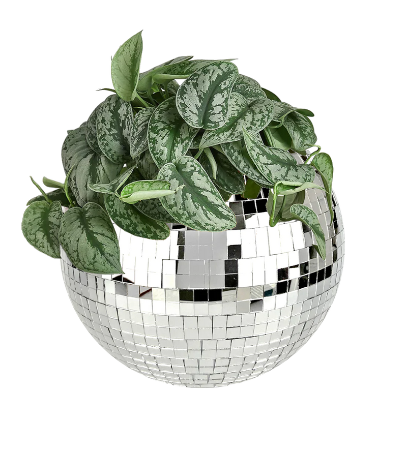 Disco Ball Planter-1