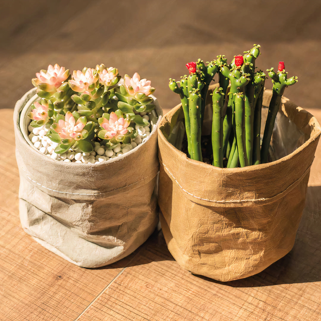 Kraft Planter Set of 2-0