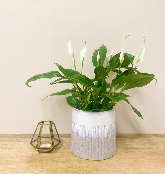 Grey Two-tone Textured Planter-1