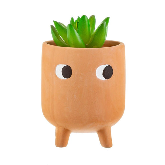 Little Leggy Terracotta Planter-1